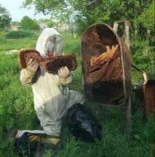 Local Richmond Beekeepers